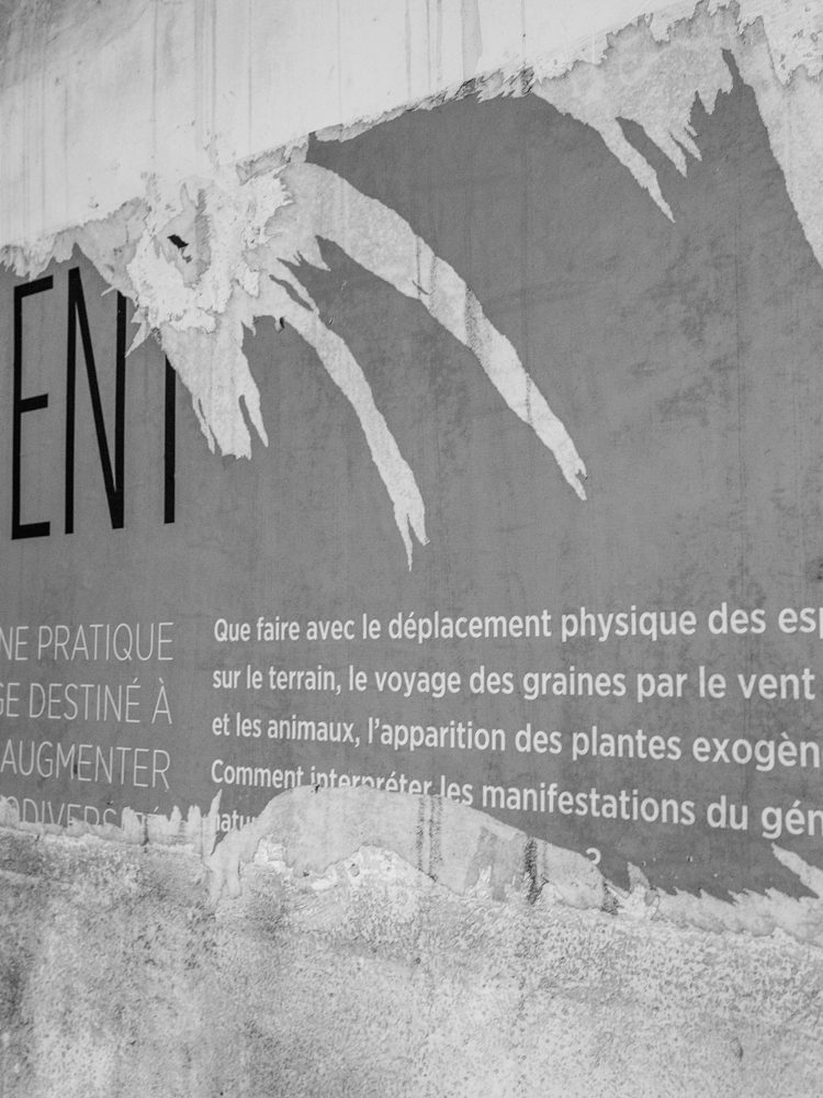 Prieuré Saint-Benoit-du-Sault-29