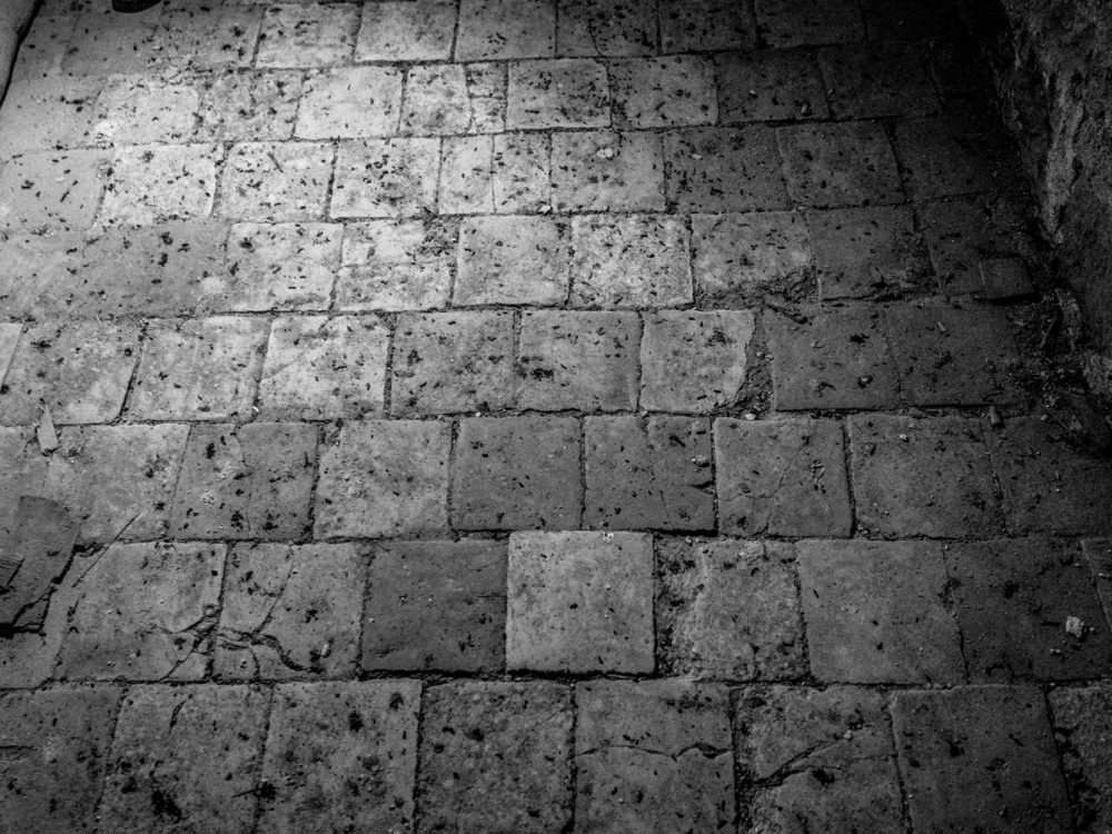 Prieuré Saint-Benoit-du-Sault-33