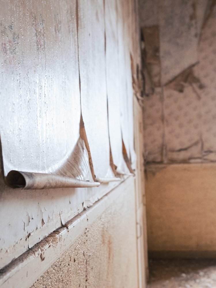 Prieuré Saint-Benoit-du-Sault-41