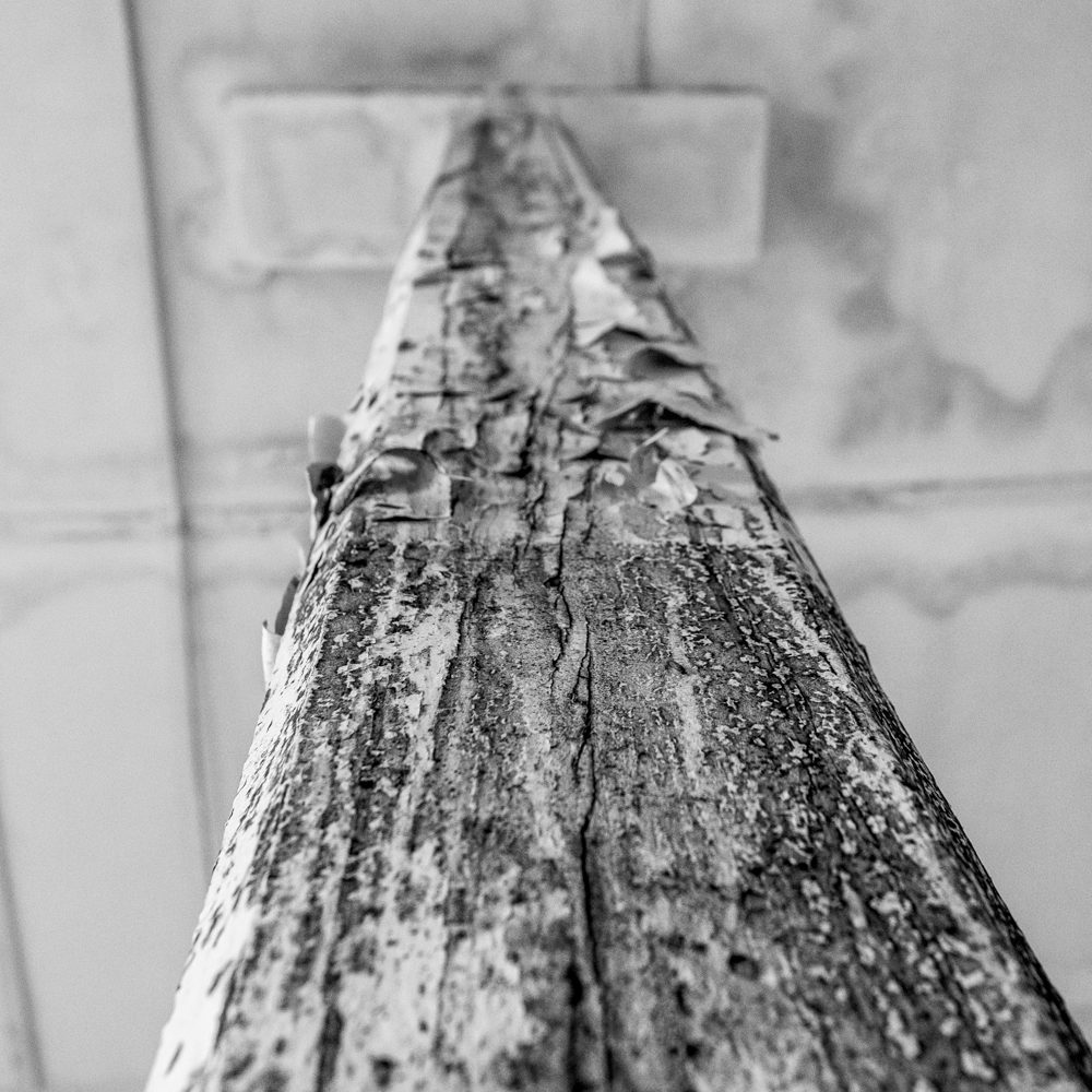 Prieuré Saint-Benoit-du-Sault-53