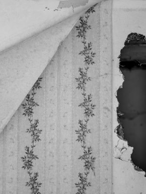 Prieuré Saint-Benoit-du-Sault-54